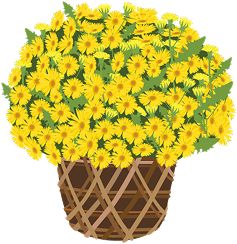 ảnh trang trí phải tết 2026